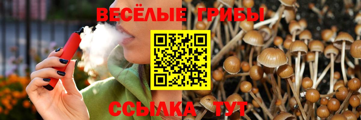 Галлюциногенные грибы MAGIC MUSHROOMS Краснокаменск